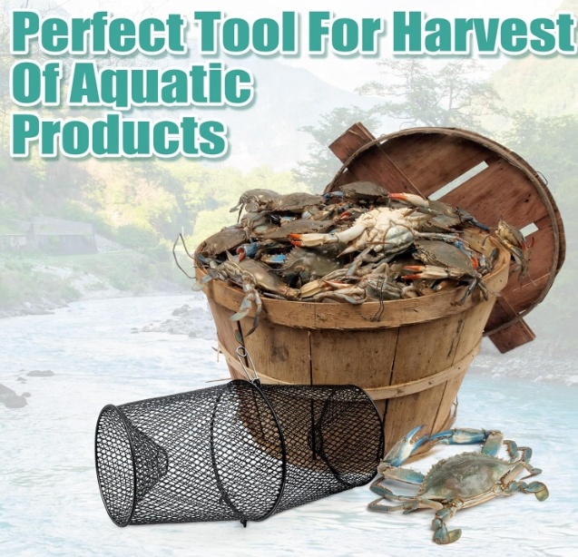 금속 가재 덫 랍스터 덫 미국 시장용 가재 금속 게 랍 - Fishing Equipment Market 리뷰 및 가격