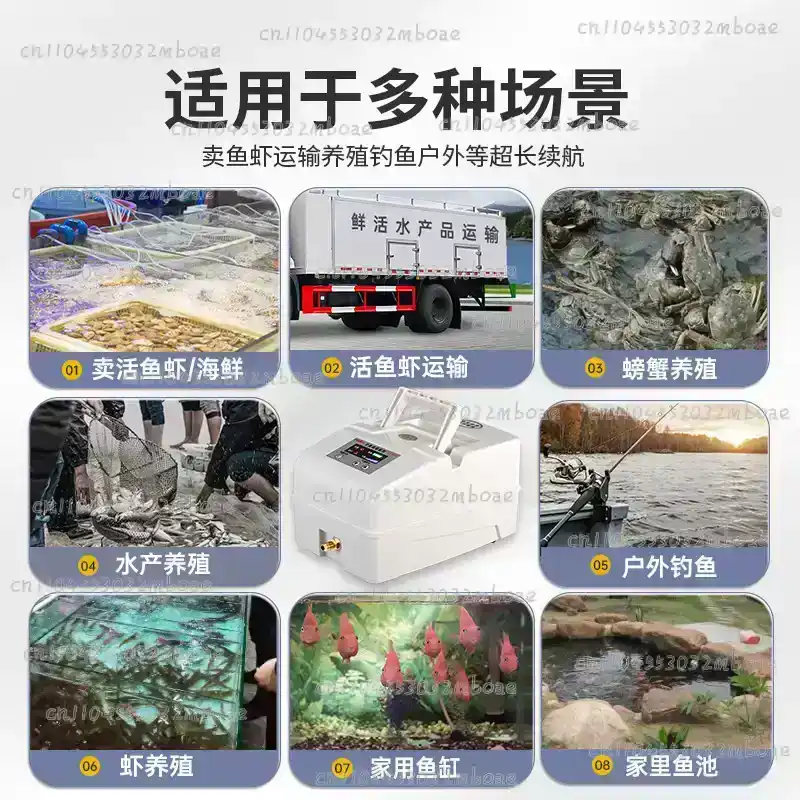 어류 양식용 특수 산소 발생기, 어류 판매용 펌프, 충 - Fishing Equipment To Sell 리뷰 및 가격